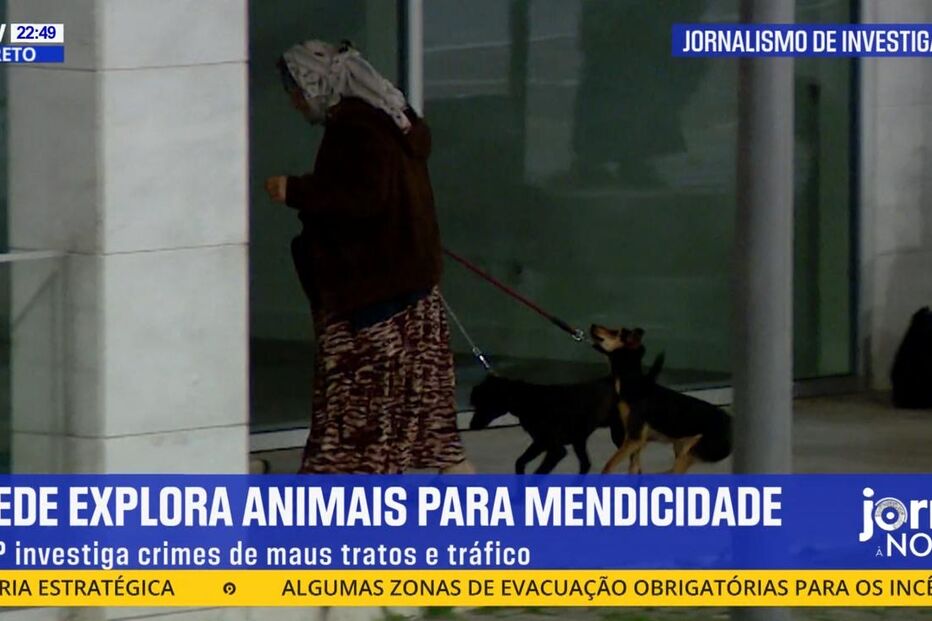 Imagem 54361506.jpg (23732421) (Milenium)