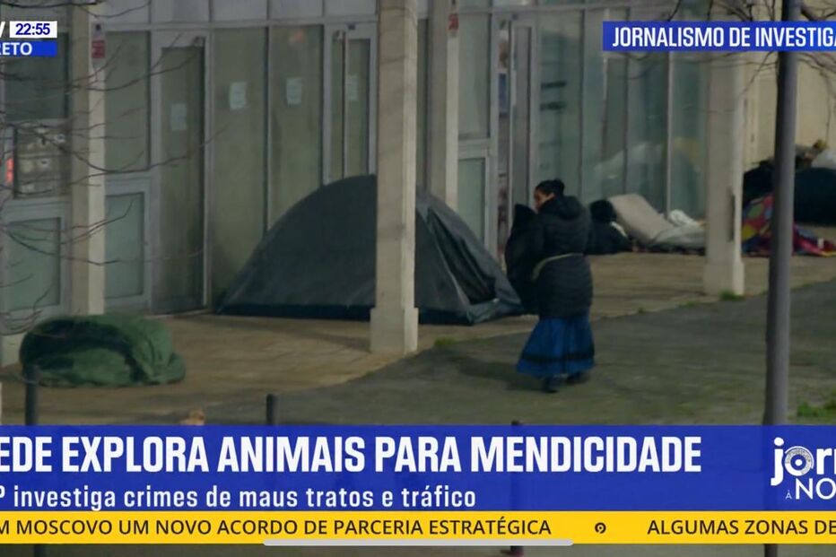 Imagem 54361512.jpg (23732419) (Milenium)