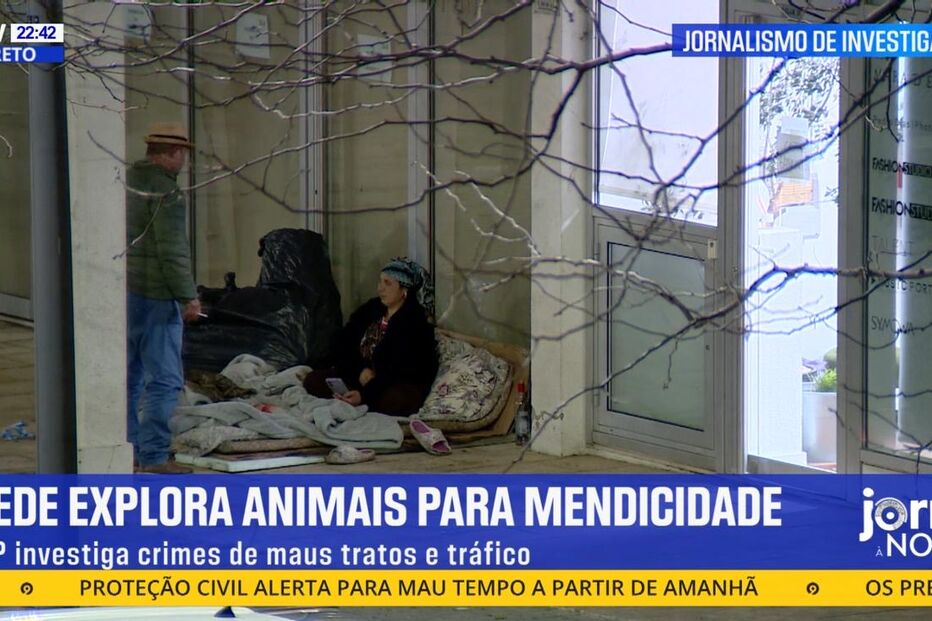 Imagem 54361513.jpg (23732418) (Milenium)