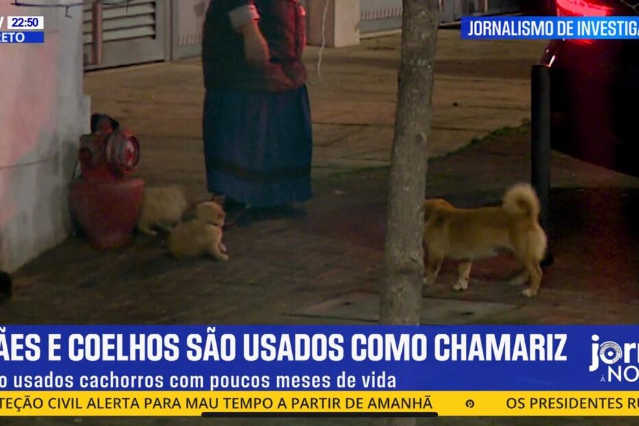 Imagem 54361516.jpg (23732416) (Milenium)