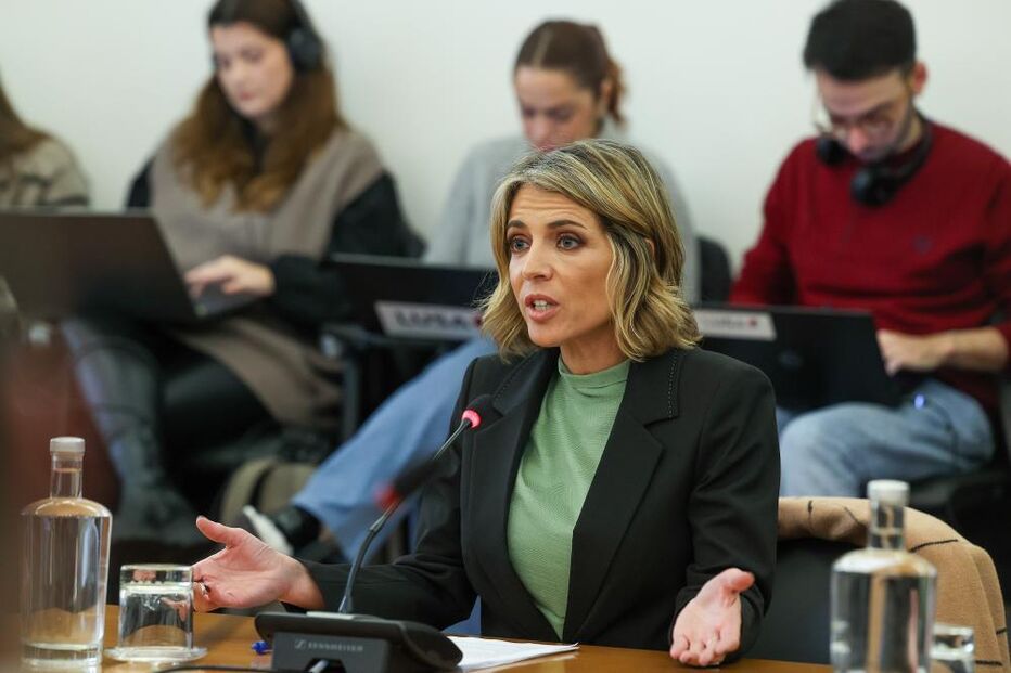 Sandra Felgueiras ouvida na Comissão Parlamentar de Inquérito ao caso das gémeas
