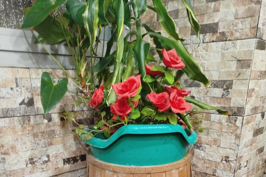 Restaurante inundado após chuva porte em Ovar