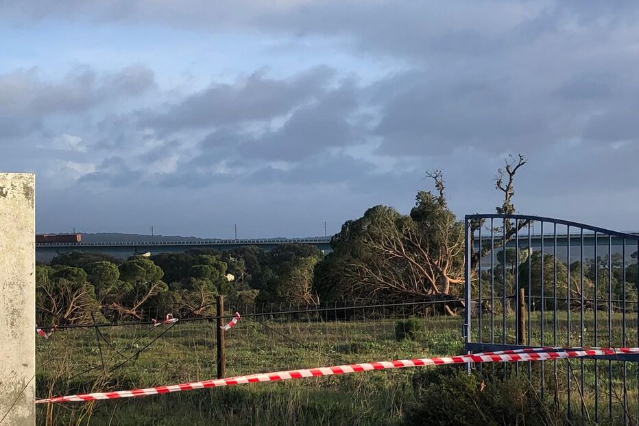 Ventos fortes provocaram queda de árvores na EN253 em Alcácer do Sal
