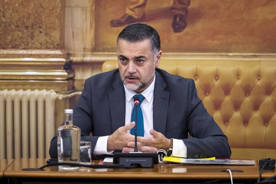 Rui Paulo Sousa, Presidente da comissão parlamentar de inquérito ao caso das gémeas luso-brasileiras