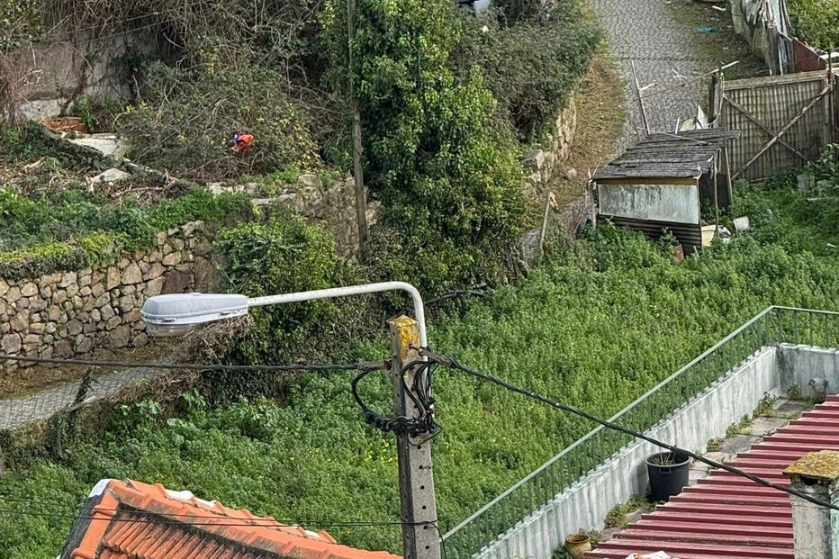 WhatsApp Image 2025-01-30 at 09.56.13.jpeg