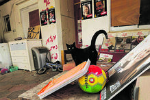 Bola da seleção portuguesa permanece na casa dos Bibas 