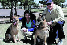 Um dos cães também morreu 