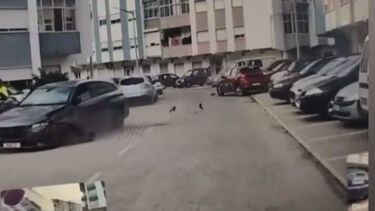 Despista-se sem carta a fugir à PSP no Seixal e quase atropela dois