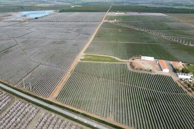 Comprador mistério de 700 hectares no Alentejo foi fundo de investimento de igreja mórmon