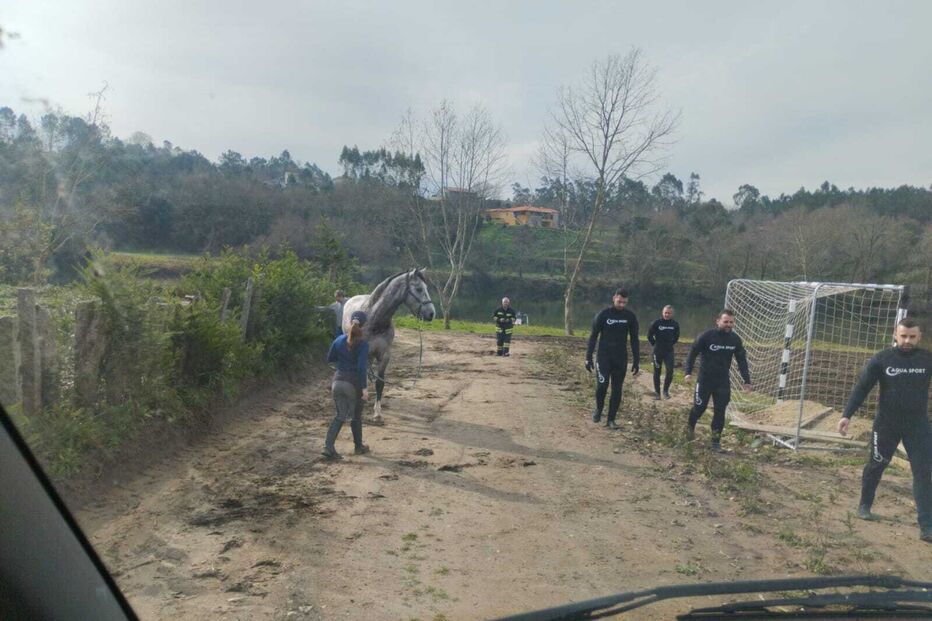 Resgate de cavalo em Barcelos
