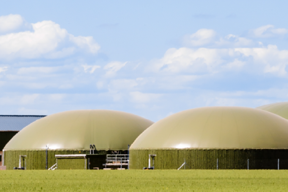 Associação Portuguesa dos Produtores de Bioenergia