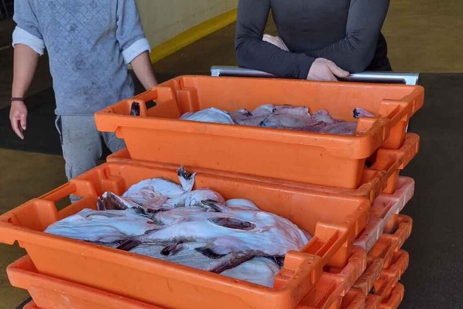 Imagem APREENSÃO TAMBORIL ARADE.JPG (23996809) (Milenium)