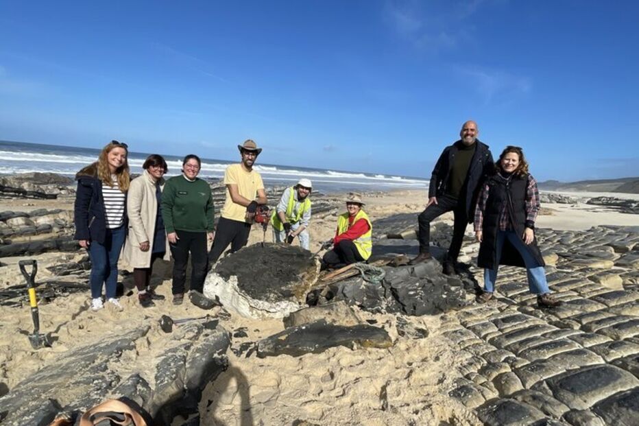 Fóssil de dinossauro descoberto na Marinha Grande