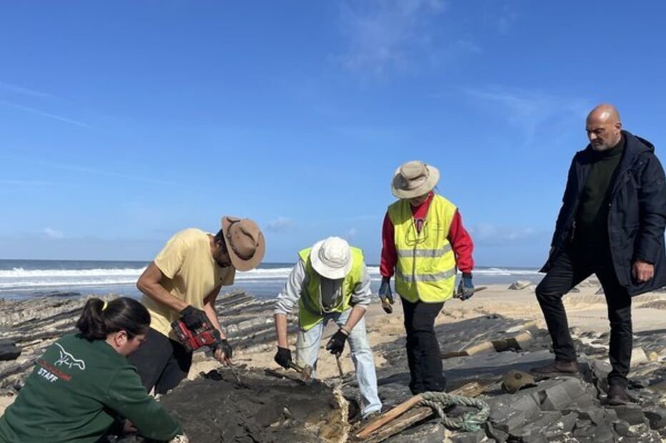 Fóssil de dinossauro descoberto na Marinha Grande