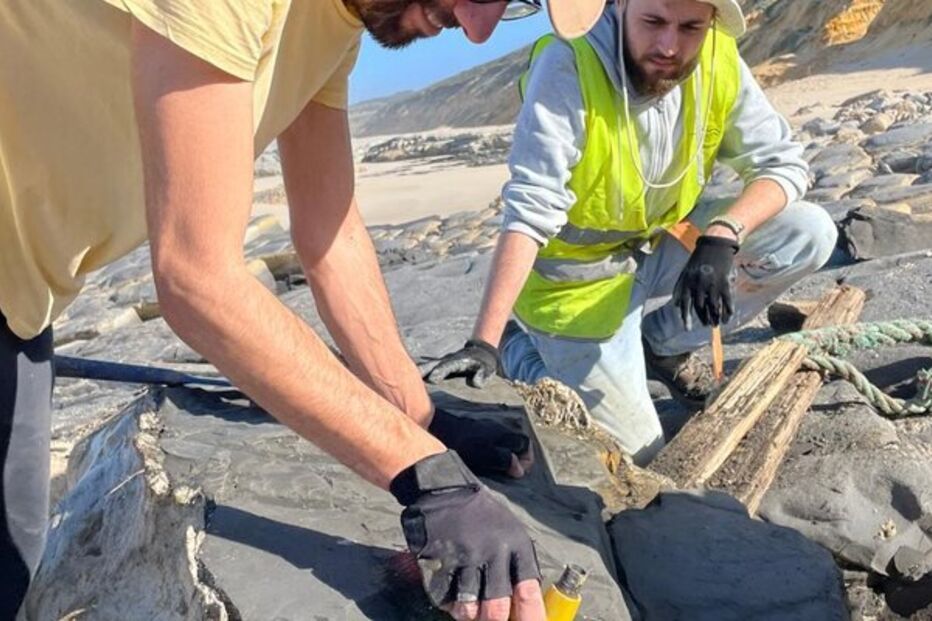 Fóssil de dinossauro descoberto na Marinha Grande