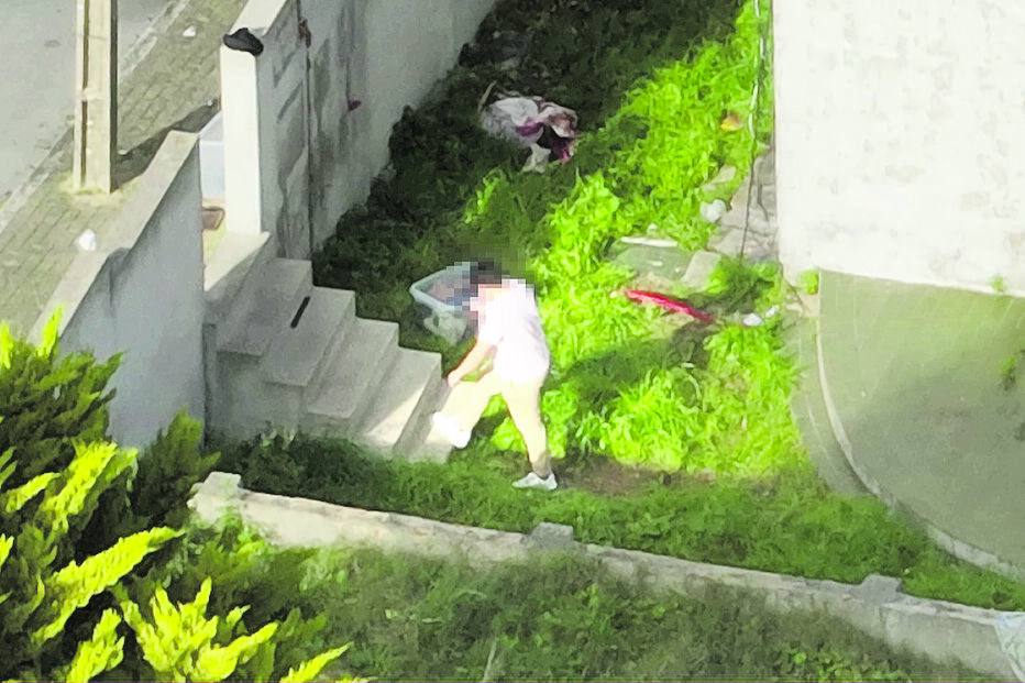 NOW derrota CNN Portugal e SIC Notícias no horário nobre