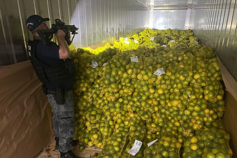 Brasil apanha 480 quilos de cocaína que vinham para Portugal