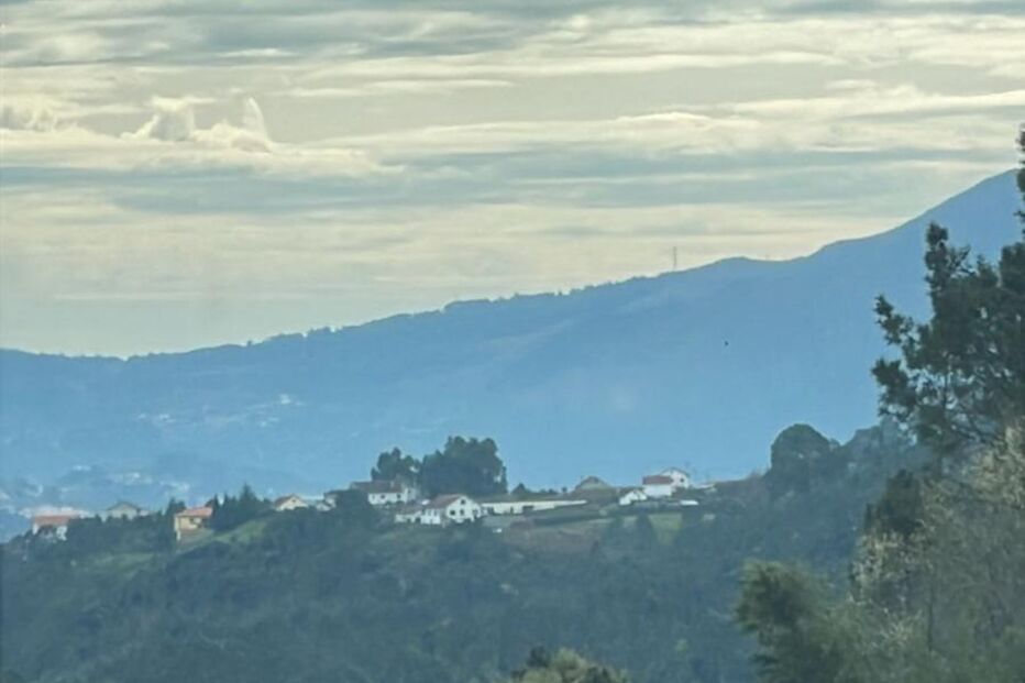 Camião com troncos de madeira capota na A3 em Ponte de Lima. Circulação condicionada