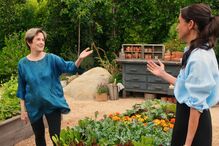 Imagem 54645615.jpg (24218267) (Milenium)