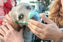 Incêndio deflagra em oficina na Moita