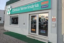 Incêndio deflagra em oficina na Moita