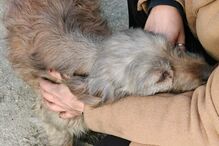 Incêndio deflagra em oficina na Moita