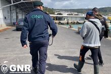 Apreensões na operação 'Dignitas'