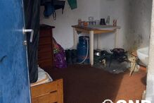 Apreensões na operação 'Dignitas'