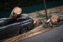 Árvore cai e destroí carro em Cascais