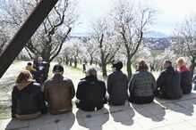 Flores de amendoeira na República Checa