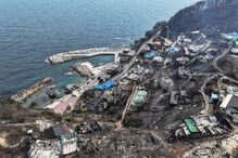 Incêndios na Coreia do Sul