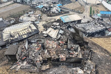 Incêndios na Coreia do Sul