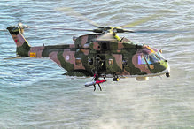 Esquadra 751 - ‘Pumas’