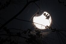 Eclipse solar parcial visto em Fuerteventura, nas Ilhas Canárias, em Espanha