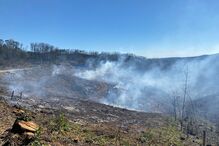 Homem sofre queimaduras no rosto em incêndio florestal em Sever do Vouga