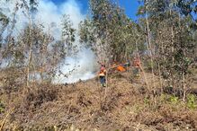 Homem sofre queimaduras no rosto em incêndio florestal em Sever do Vouga