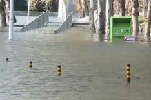 Proteção Civil aciona alerta vermelho após duplicação do caudal do Tejo 