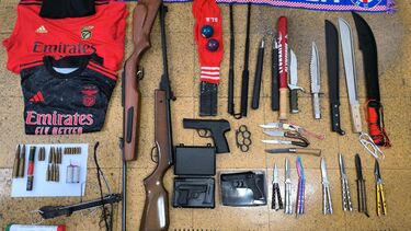 Cinco adeptos do Benfica detidos por agressões a agentes da PSP