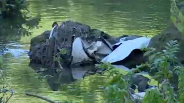 Água sem tratamento de fábricas é descarregada diretamente para o rio e ribeiras