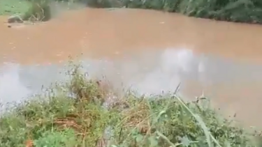 Moradores indignados com o que dizem ser um problema de saúde pública