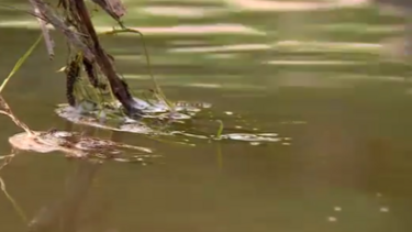 Autarca reconhece que plano de investimentos da empresa das águas do Alentejo falhou