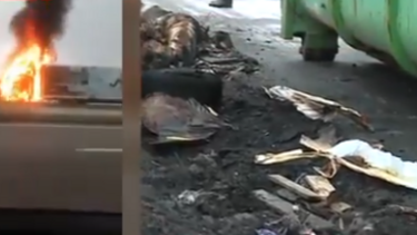 Novas imagens mostram destroços de camião que ardeu na A4 em Murça 