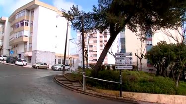 Vento forte leva à queda de árvore em Odivelas 