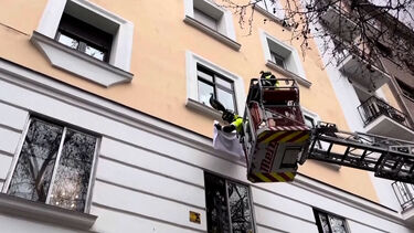 Bebé pavão resgatado do parapeito de janela em prédio de Madrid