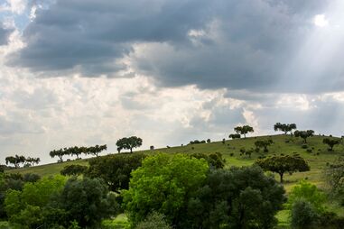 Herdade da Zambujeira, no Alentejo