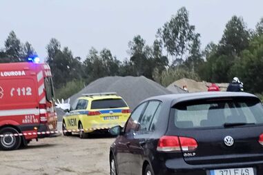 Homem morre após ser atacado por cães em Santa Maria da Feira