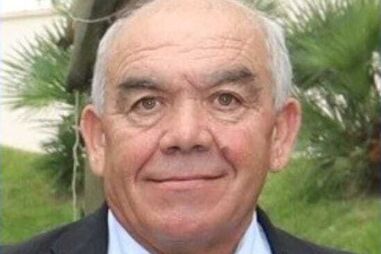 Falta caçar quatro dos cães que mataram empresário em Santa Maria da Feira