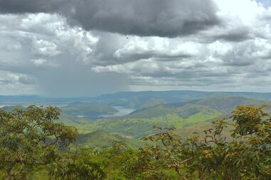 Quercus acusa ministro de querer "subverter a missão do ICNF de proteger o património natural nacional"