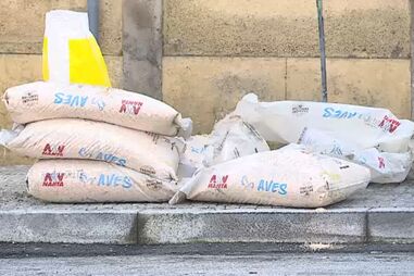 Mulher ferida em incêndio que deflagrou numa loja de rações em Oliveira de Azeméis