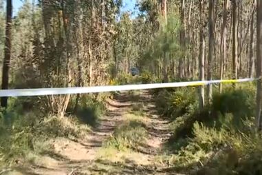 Homem morre atingido por árvore em Cantanhede